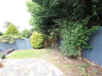 Picture 15